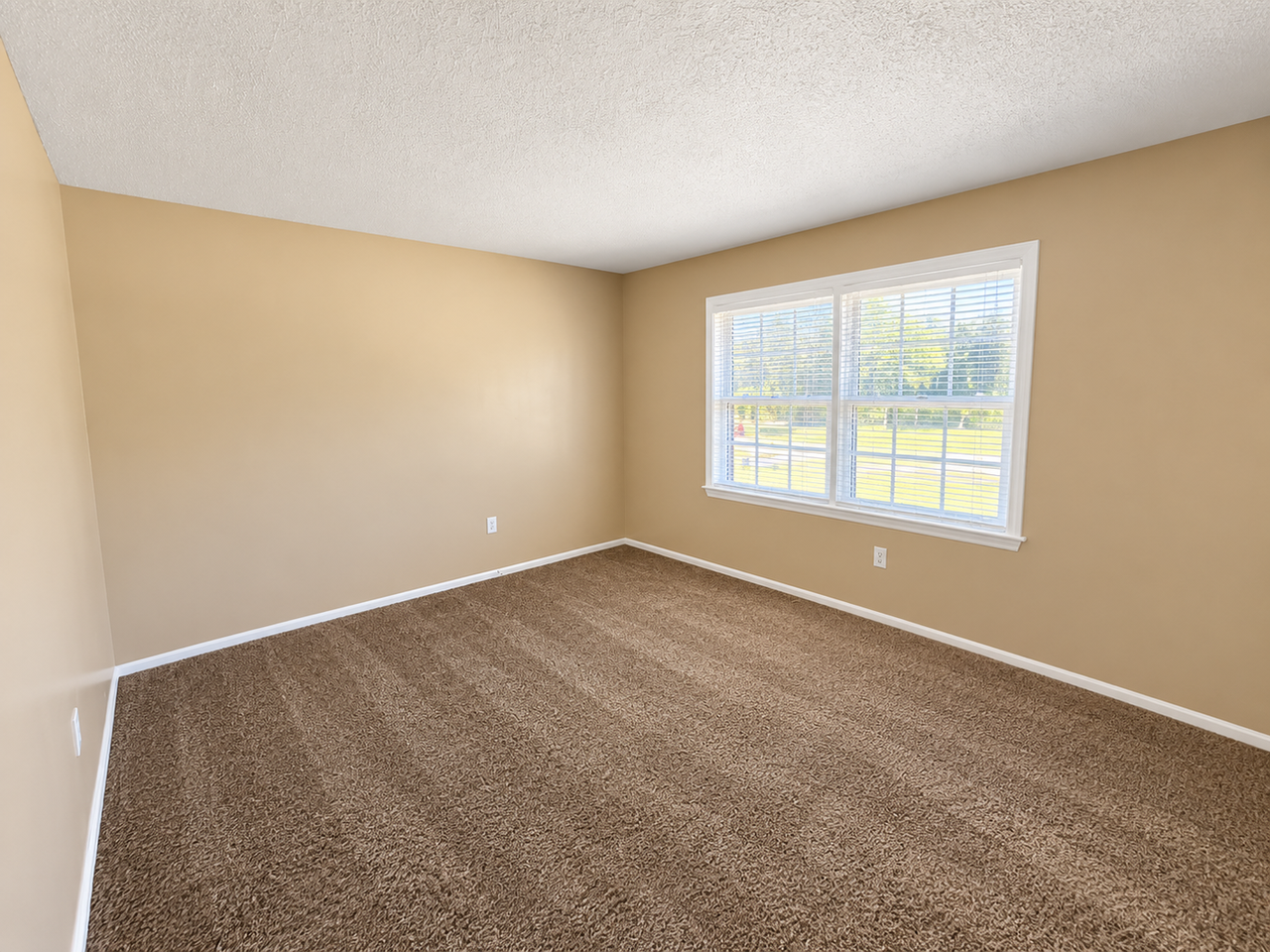 6526 White Horse Road - Photo 5 of 17