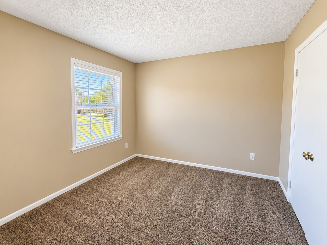 6526 White Horse Road - Photo 6 of 17