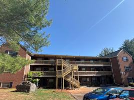 featured image of 717 Sterling Rd #36