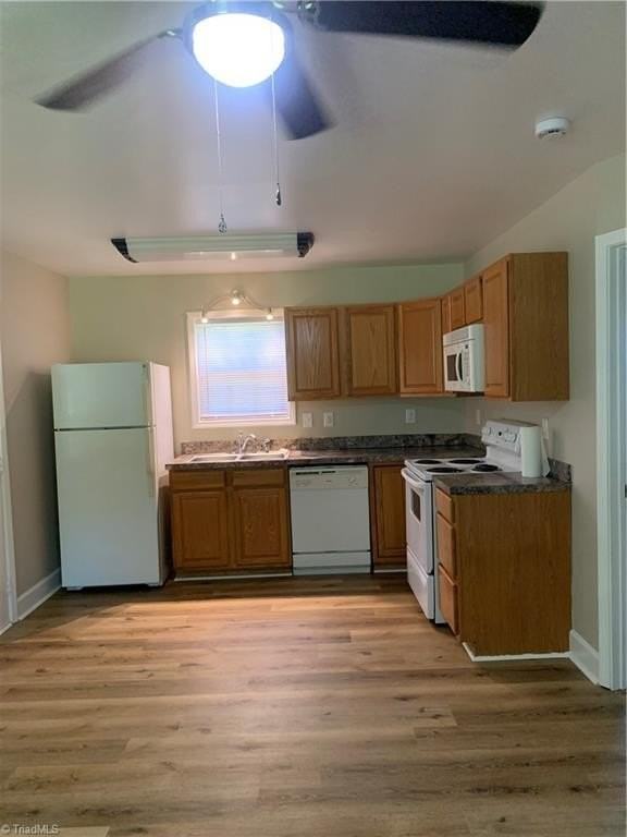 709 Cana Rd - Photo 4 of 13