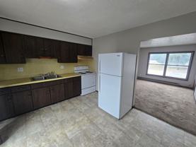 1501 S Division St - Photo 1 of 1