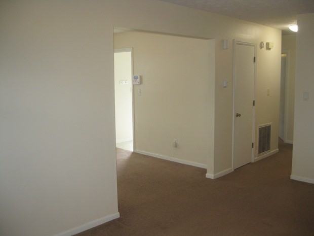4001 Elora Ln - Photo 3 of 13
