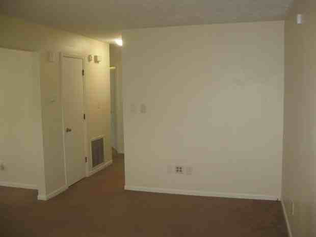 4001 Elora Ln - Photo 4 of 13