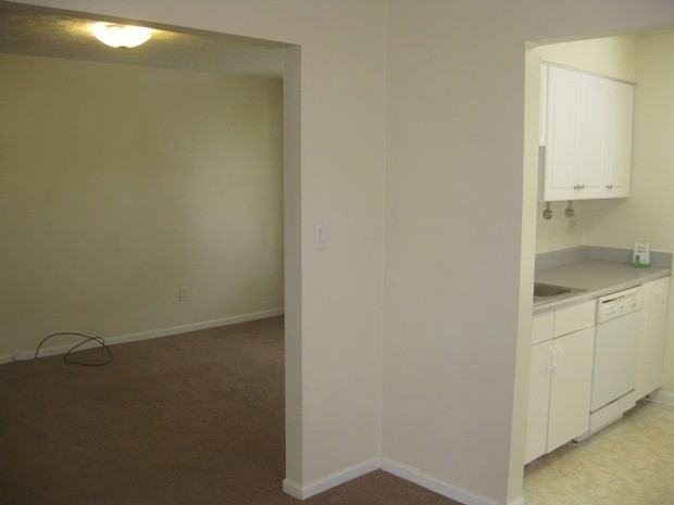 4001 Elora Ln - Photo 7 of 13