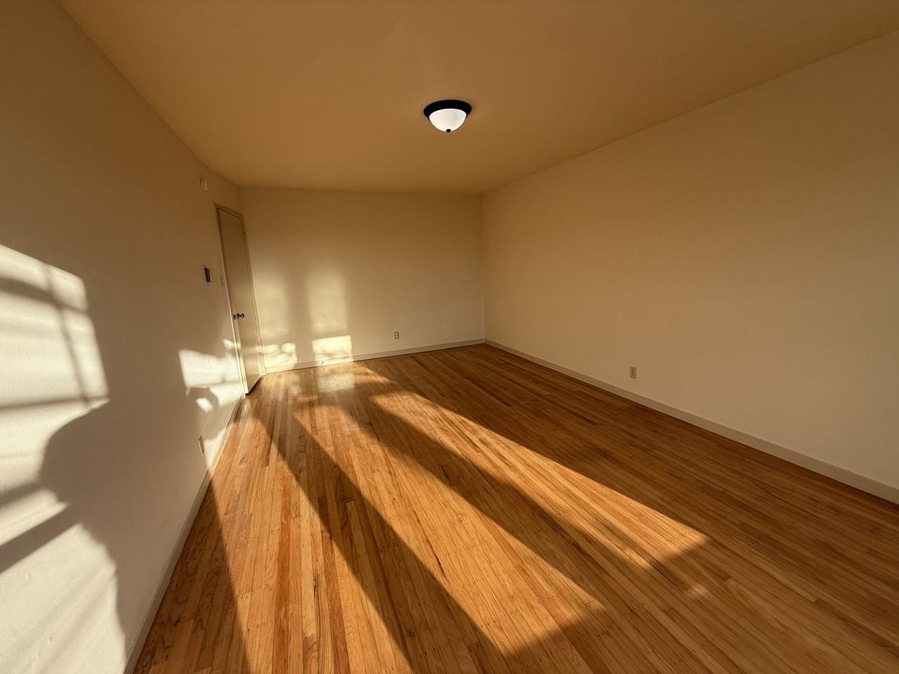 743 Hillside Blvd - Photo 7 of 12