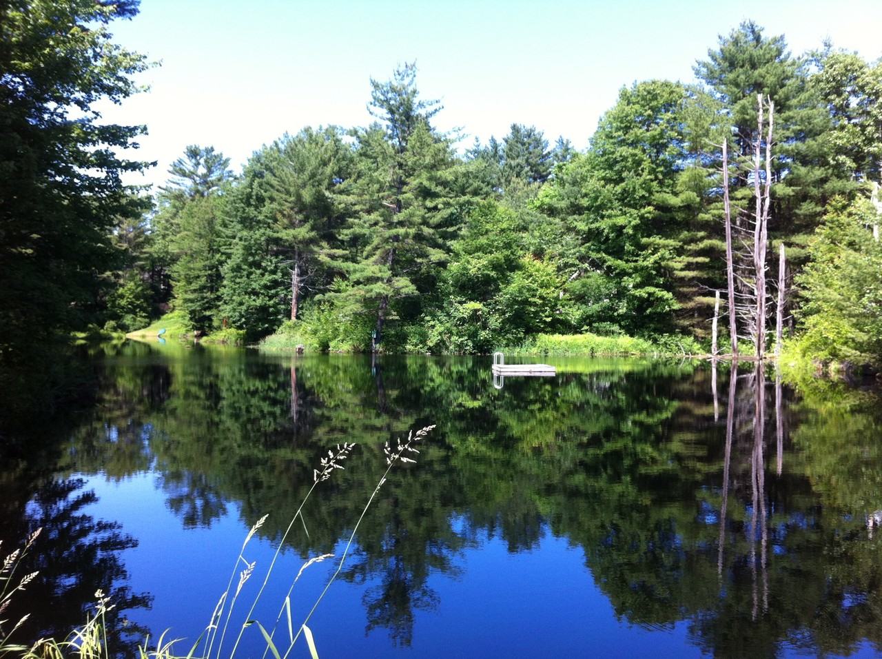 45 Tibbetts Hill Rd #NA - Photo 6 of 23
