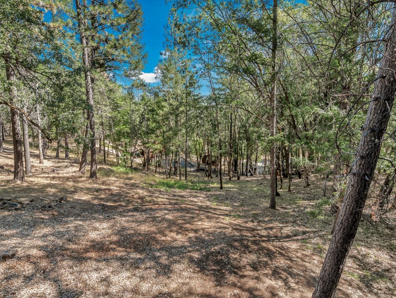 500 Timber Ridge Rd - Photo 7 of 12