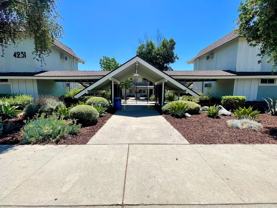 4231 Evart St #B2 - Photo 1 of 1