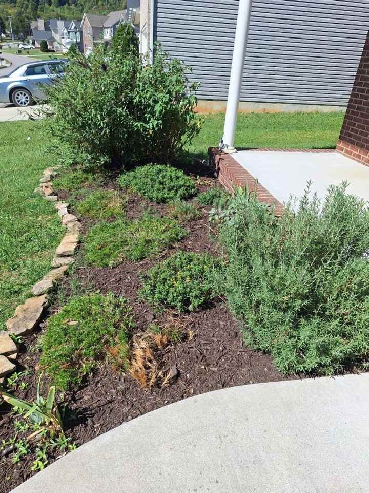 2726 Honey Hill Rd - Photo 2 of 50