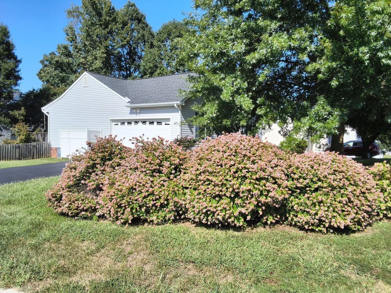 7855 Winding Ash Ct - Photo 3 of 12