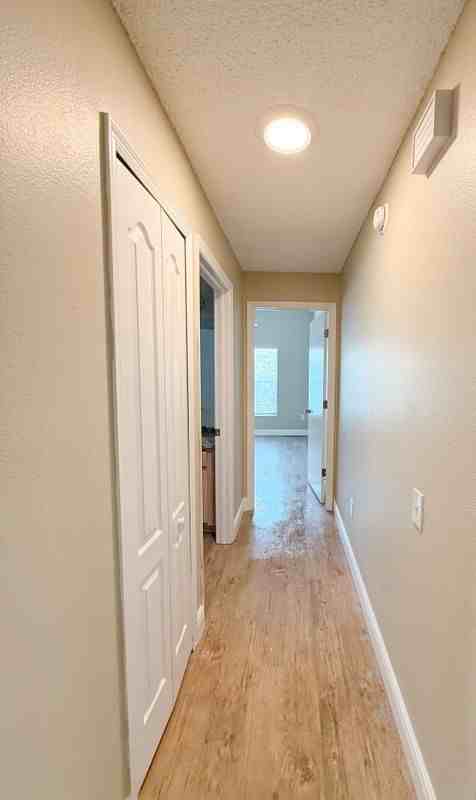 26849 Carla Pl - Photo 7 of 14