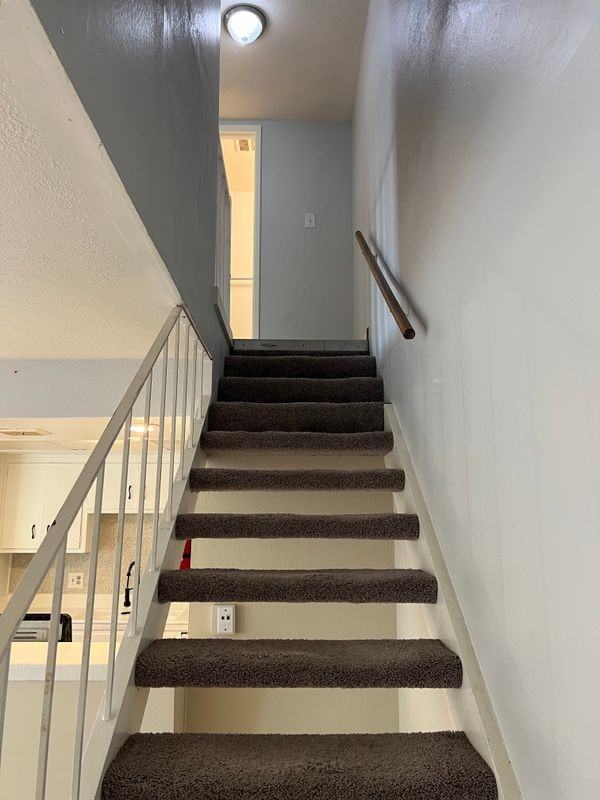 801 Carro Dr - Photo 6 of 13