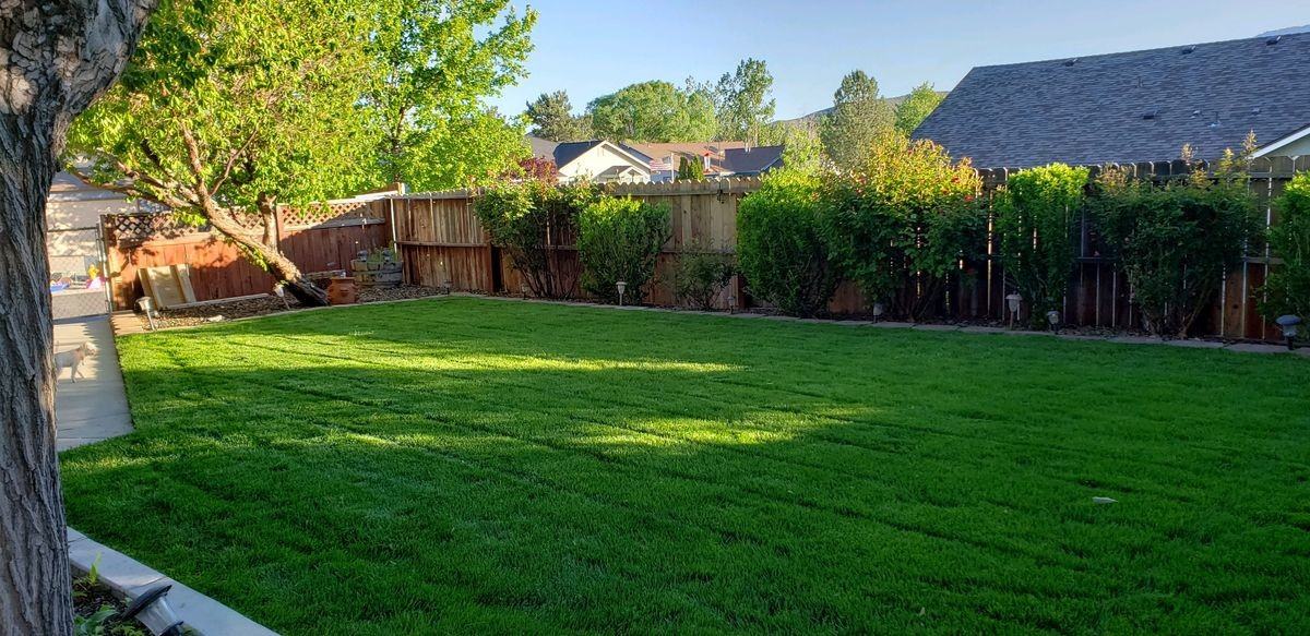 616 Kim Ct - Photo 3 of 39