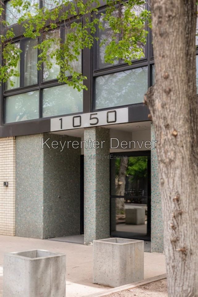 1050 N Corona St #112 - Photo 3 of 20