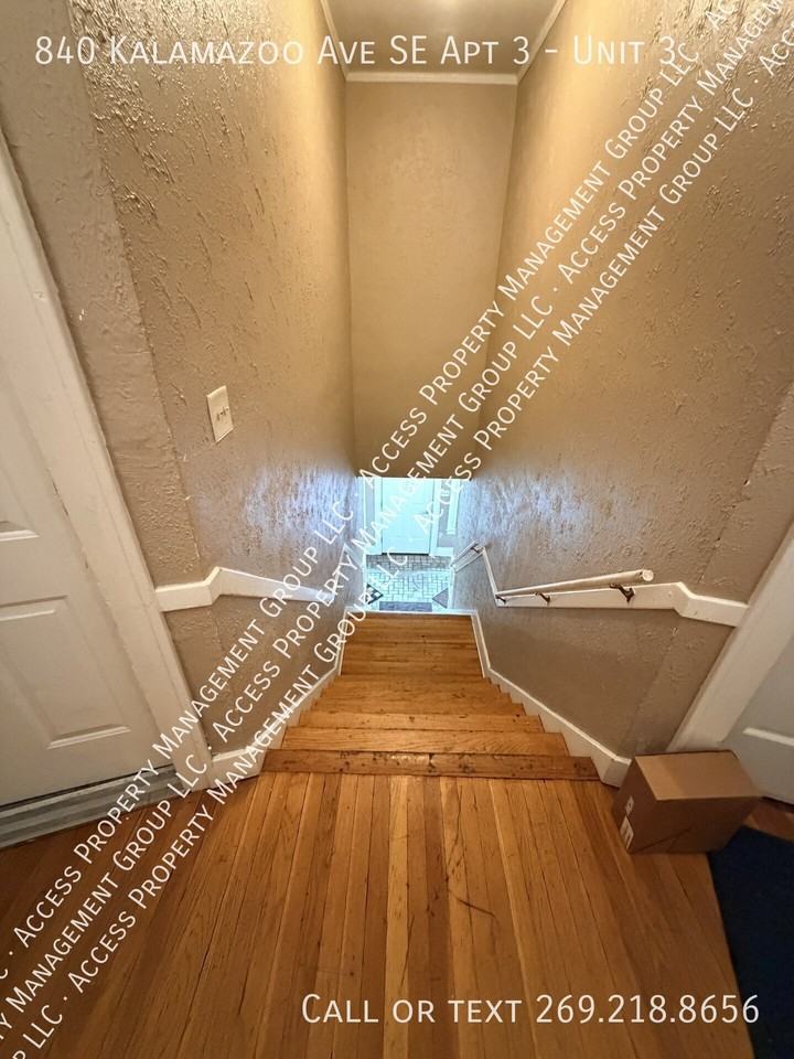 840 Kalamazoo Ave Se Apt 3 #3 - Photo 3 of 23