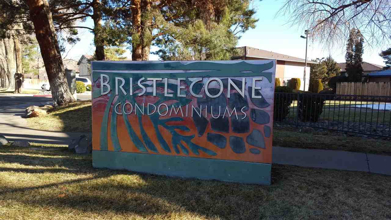 3177 Bristle Branch Dr