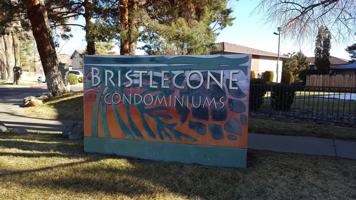featured image of 3177 Bristle Branch Dr