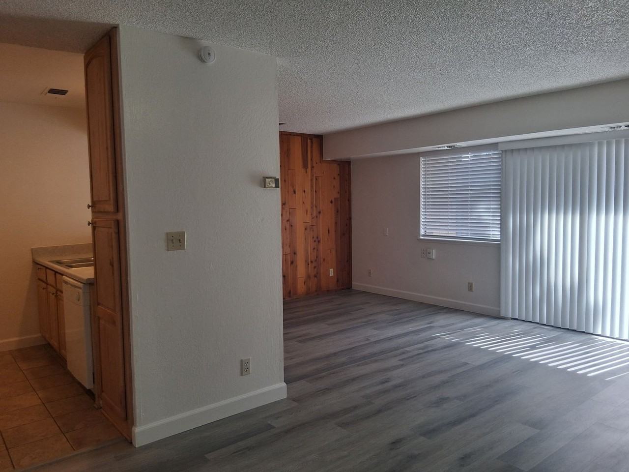 3177 Bristle Branch Dr - Photo 3 of 19