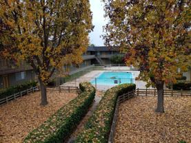 Rio Vista - Photo 1 of 1