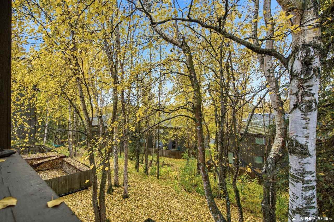 2238 Knoll Cir - Photo 3 of 35