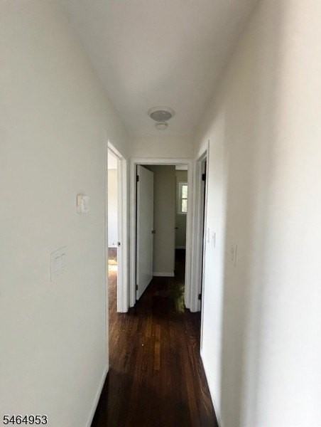 97 Mount Hope Ave #2 - Photo 5 of 13