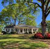 6922 Great Oaks Rd - Photo 1 of 1