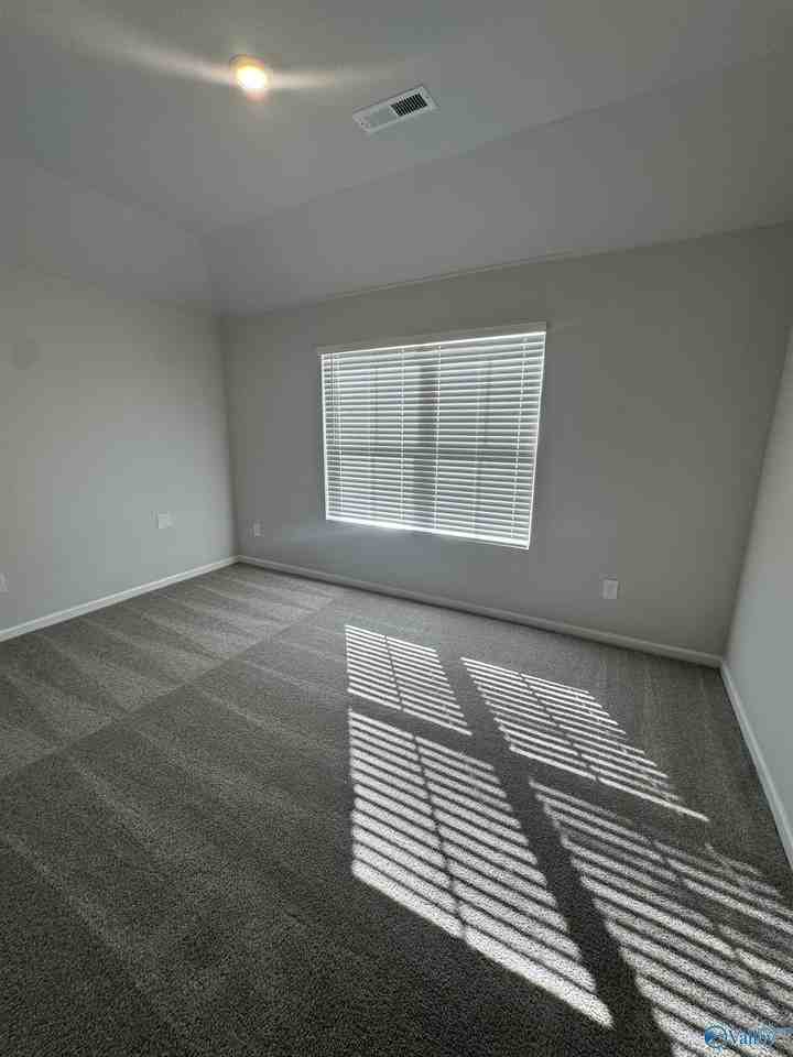 305 Spanish Moss Court - Photo 3 of 23