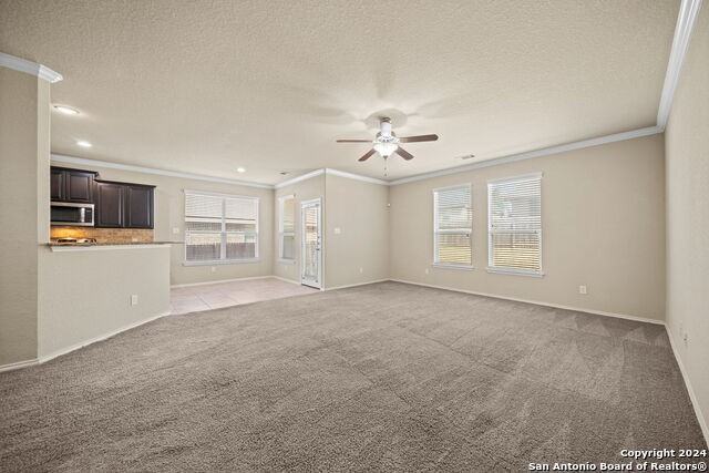 536 Wagon Wheel Way - Photo 5 of 31