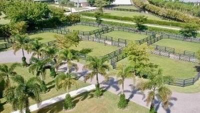 14136 Equestrian Way - Photo 5 of 5