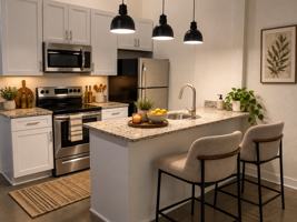 featured image of 410 Spring St #103