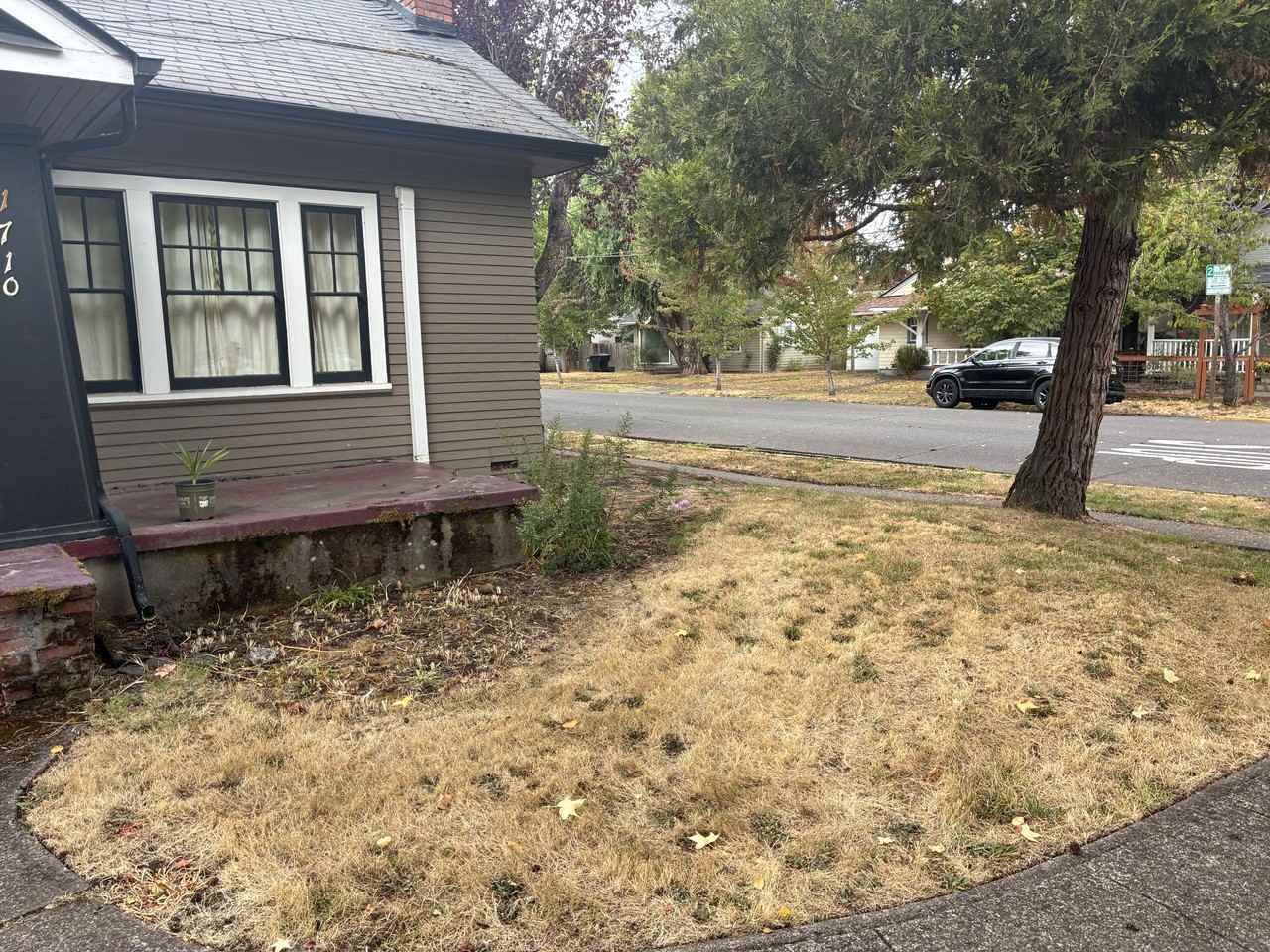 1710 Olive St - Photo 2 of 13