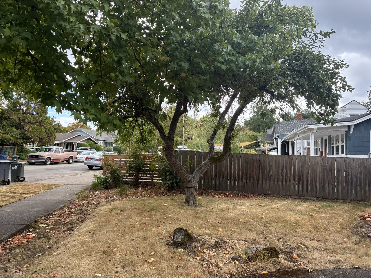 1710 Olive St - Photo 3 of 13