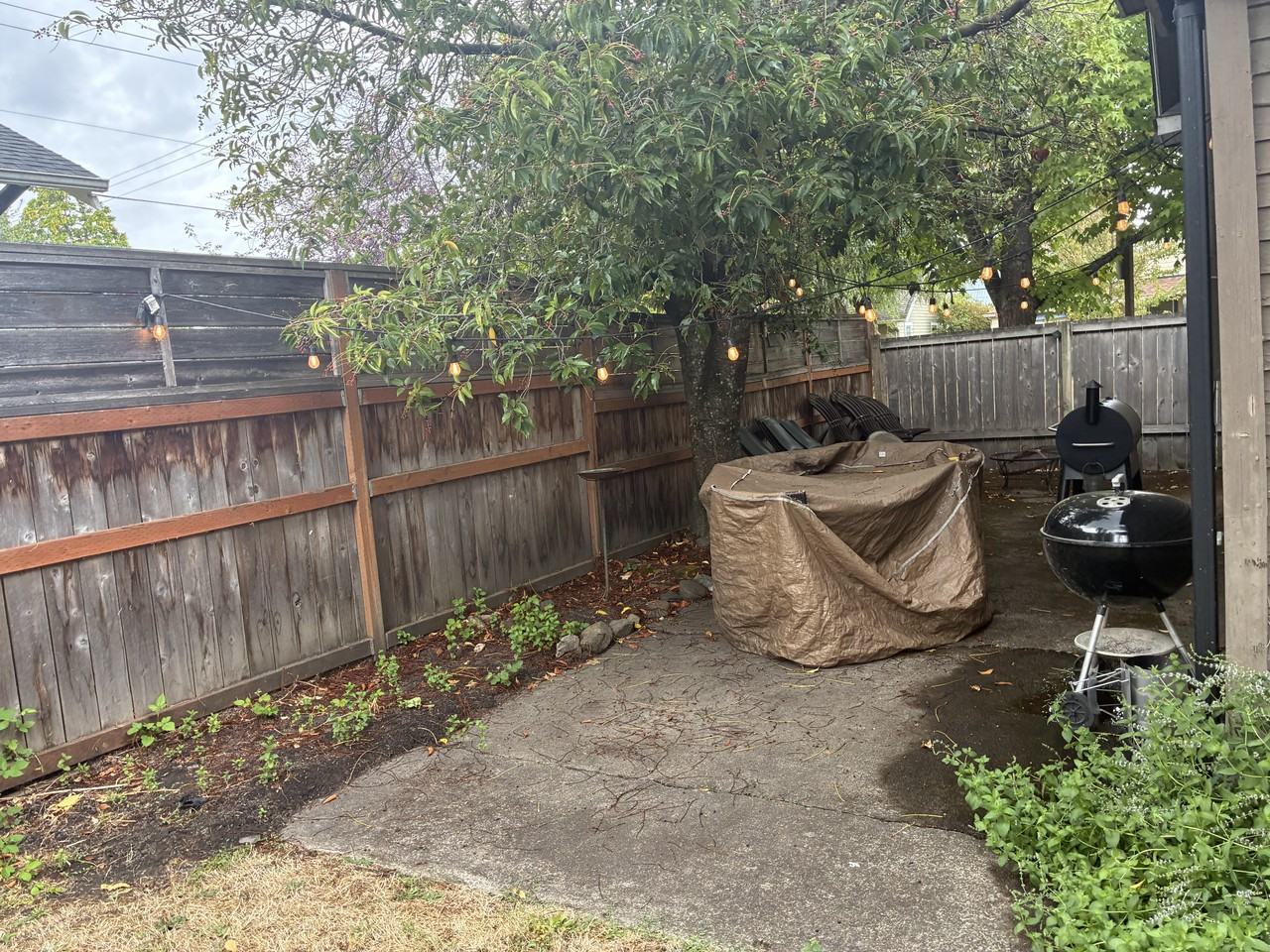 1710 Olive St - Photo 5 of 13