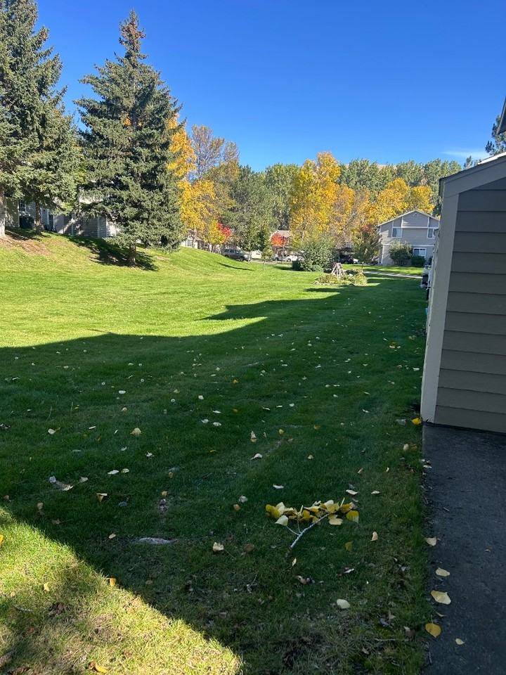 2805 Lowridge Ct - Photo 7 of 17
