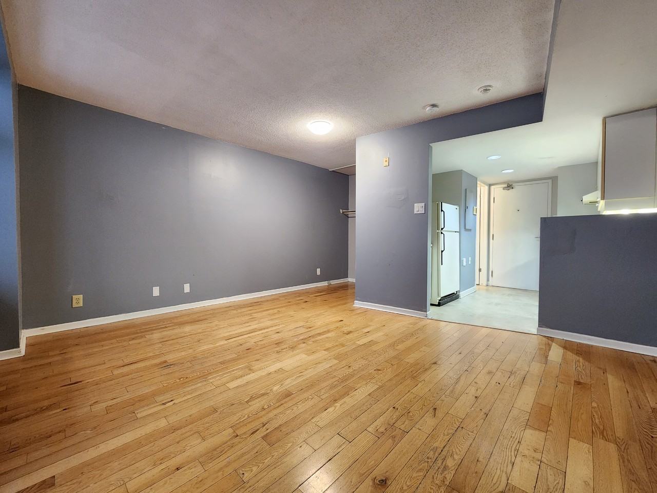 595 Somerset Street West - Photo 2 of 26