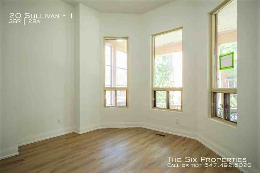 20 Sullivan Street #1 - Photo 4 of 14