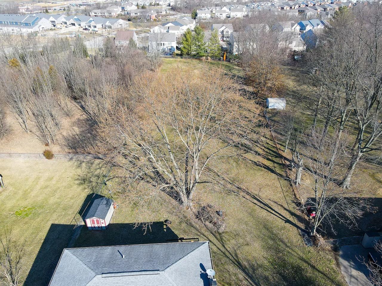 1752 Bristow Drive - Photo 5 of 25