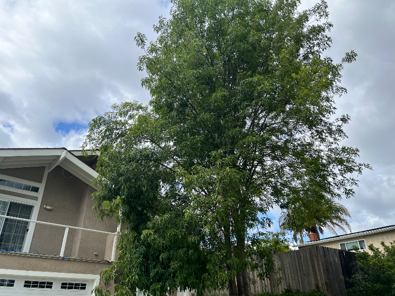 885 Masterson Dr - Photo 4 of 12