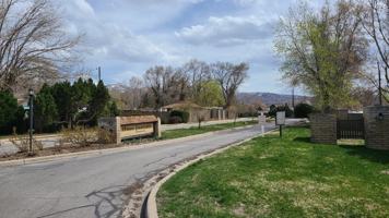 featured image of 335 Peach Ln