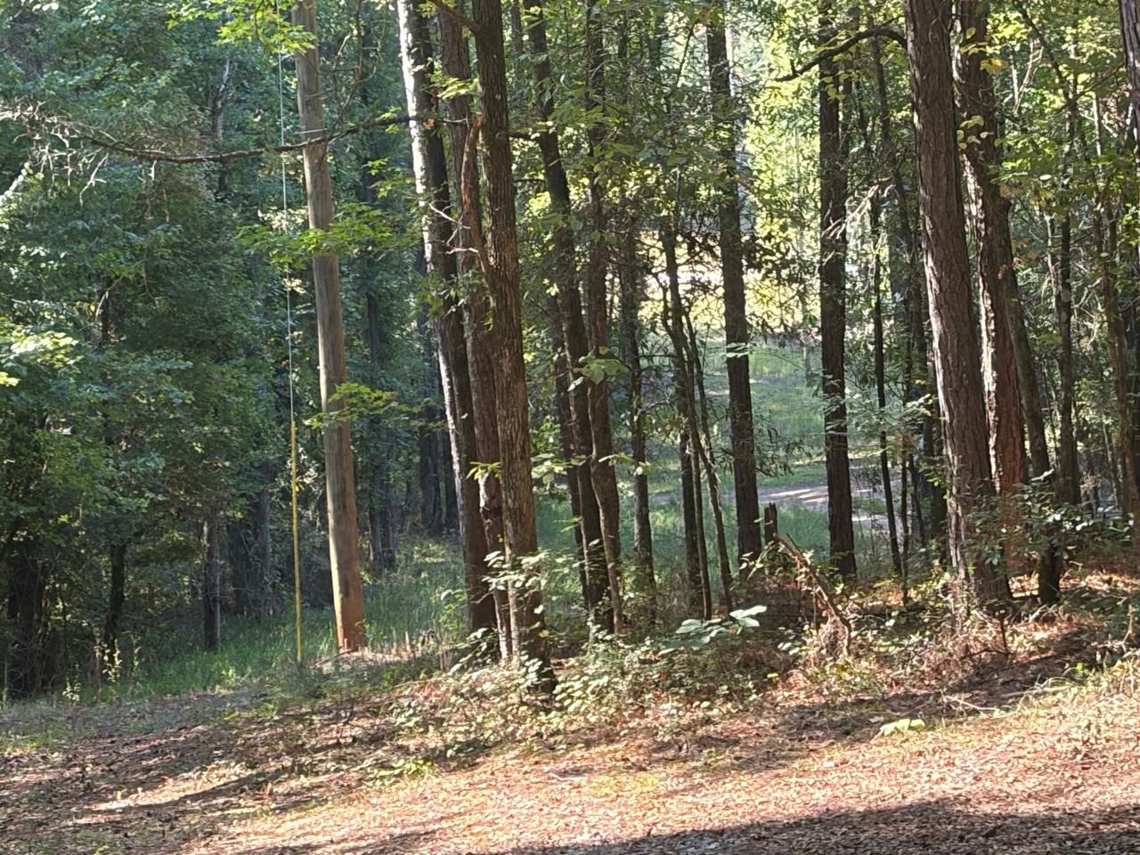 6354 Roanoke Rd - Photo 3 of 3