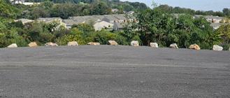 483 E Locust St #BACK - Photo 1 of 1