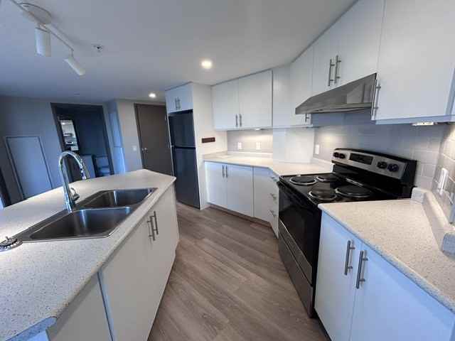 1316 Princess Street #608 - Photo 5 of 12