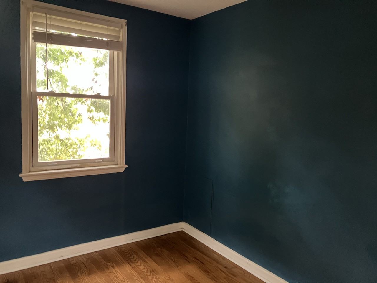 2322 40th Pl Nw #203 - Photo 3 of 6