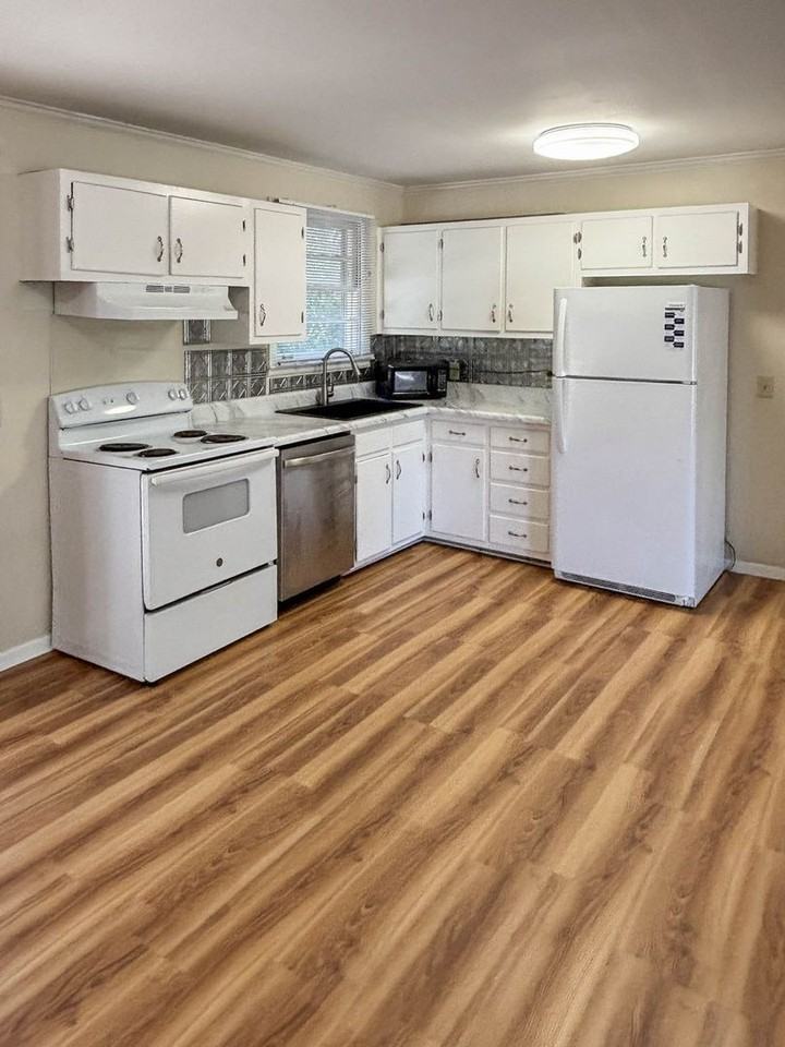 350 Ladybird Dr - Photo 4 of 9
