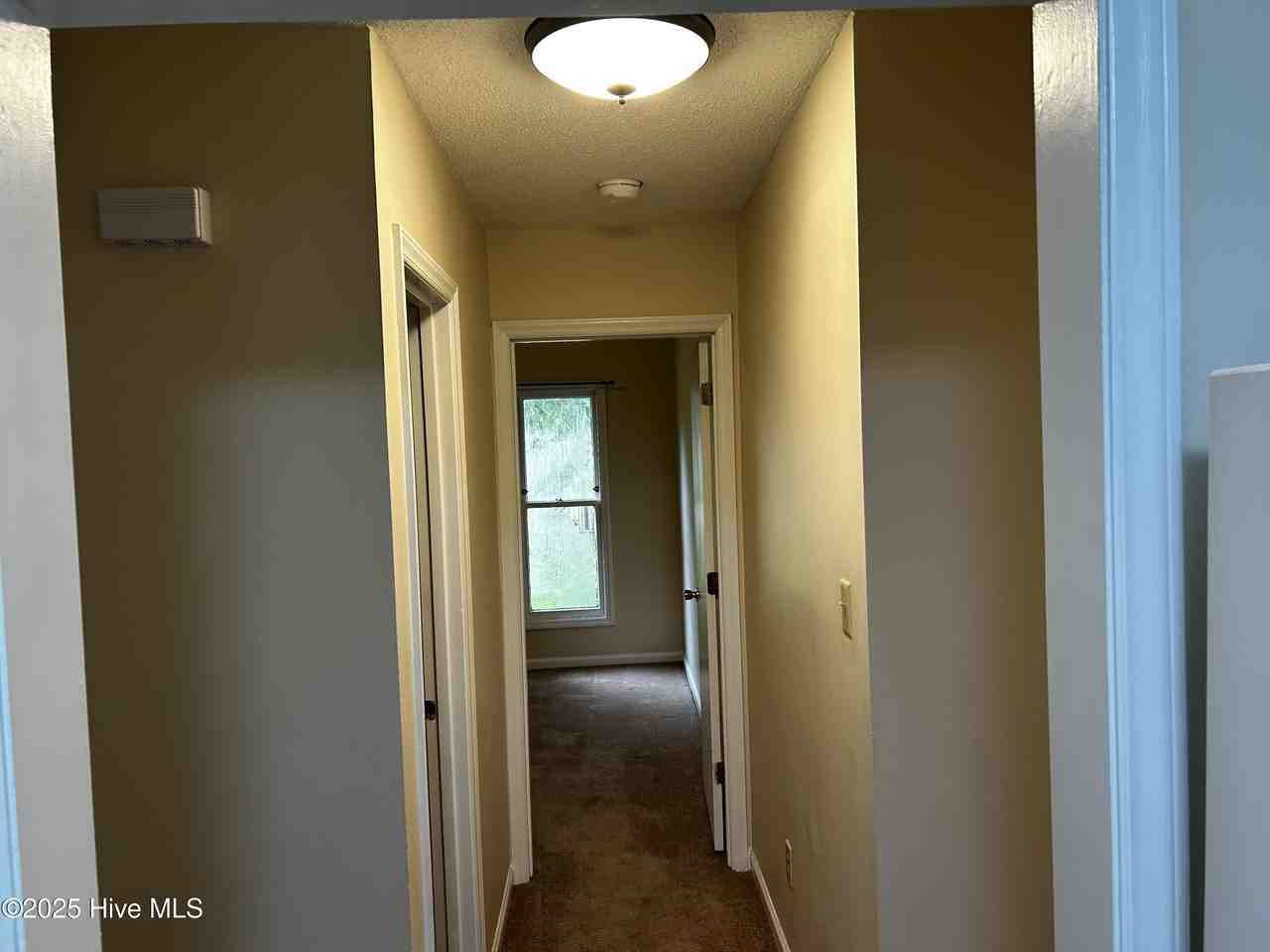 1003 Stillwood Cir - Photo 7 of 19