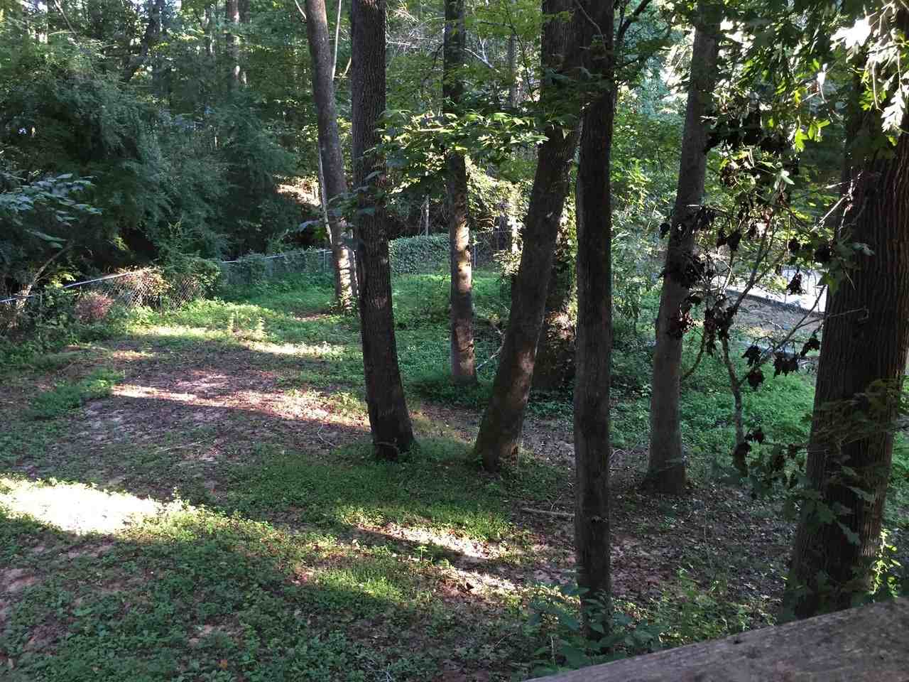 738 Tanglewood Ave - Photo 3 of 19