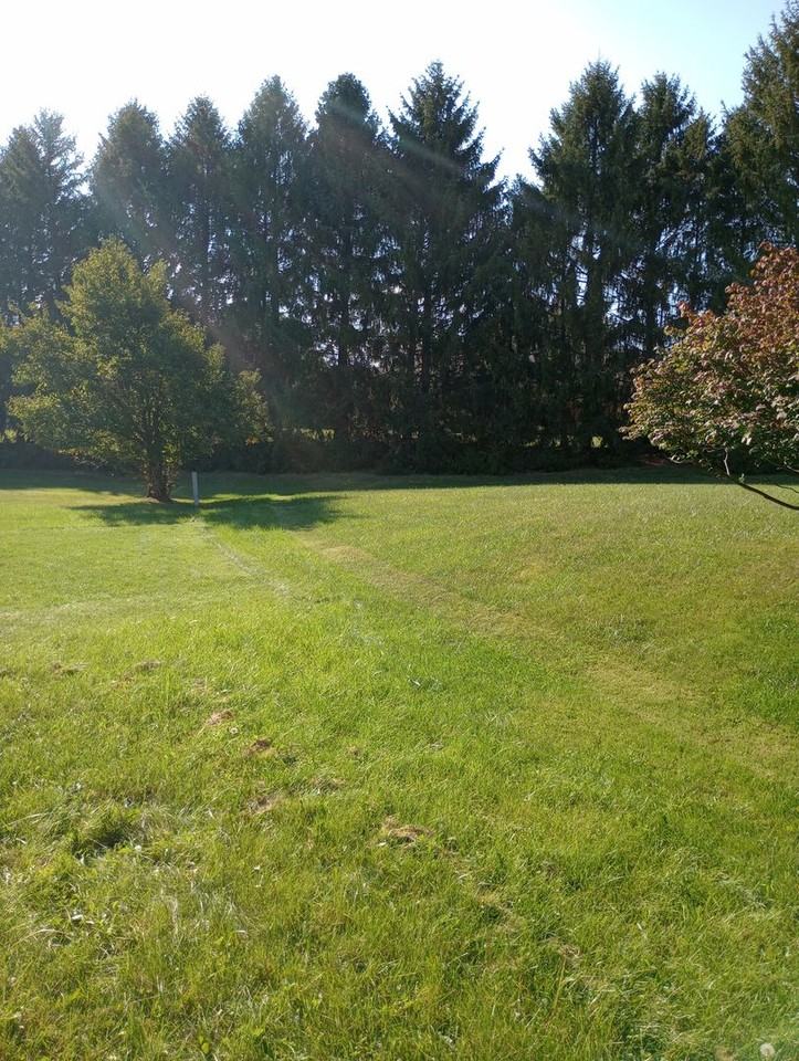 1141 Katie Cir - Photo 4 of 26
