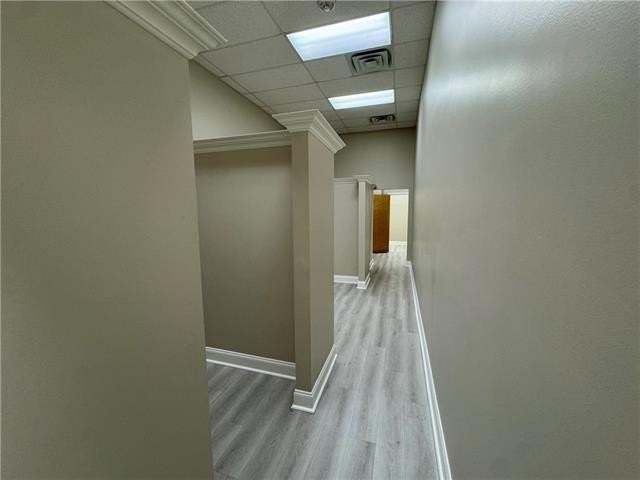 1995 Gentilly Blvd #C14 - Photo 5 of 13