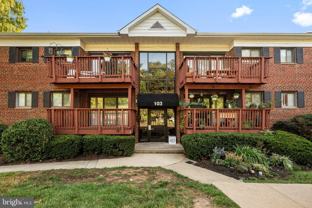 103 Skyhill Rd #3 - Photo 1 of 1