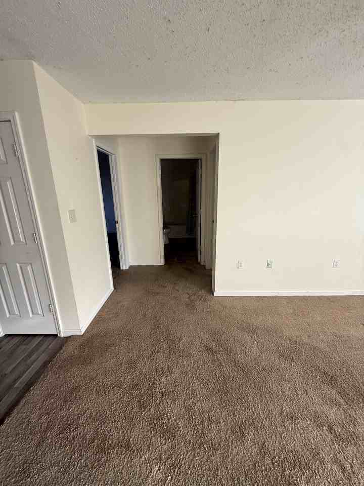 202 Pine Street - Photo 3 of 8